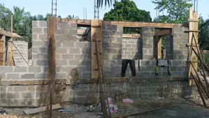 Professional Building Contractor