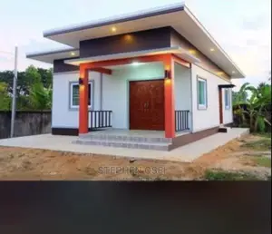 Professional Building Contractor