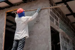 Professional Building Contractor
