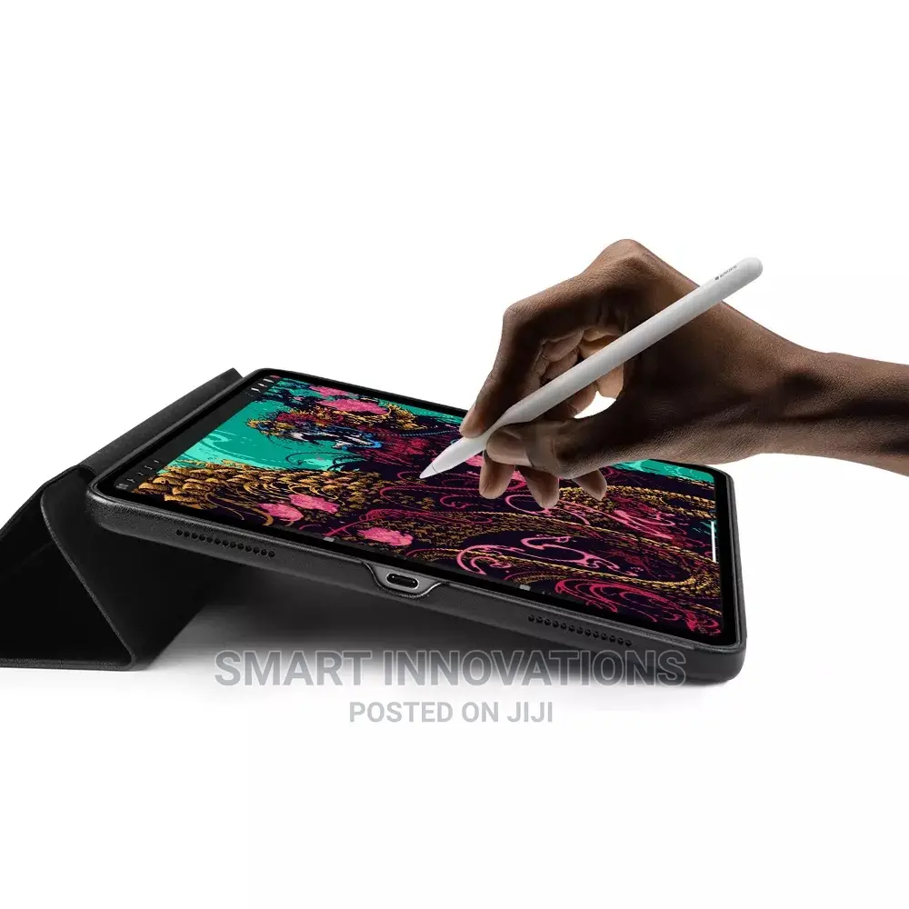 iPad Pro 11 Inch / iPad 10.2 Detachable Magnetic Case