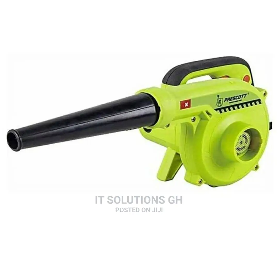 Electric Blower 800W
