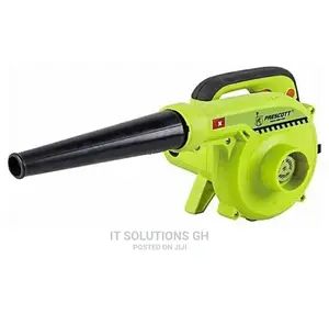 Electric Blower 800W