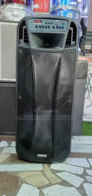 Temeshieng Rechargeable Speaker
