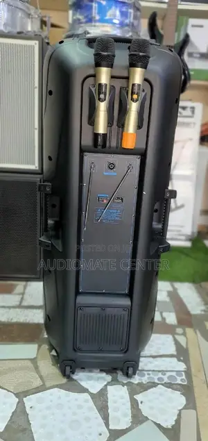 Temeshieng Rechargeable Speaker
