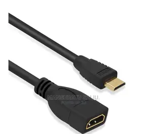 Mini to Female HDMI