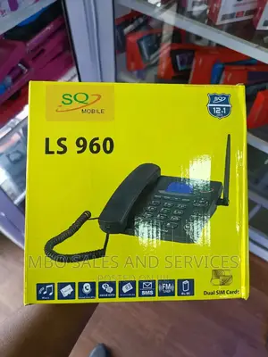 Wireless Telephone LS 960
