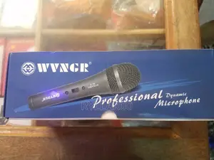 Professional Dynamic Microphone
