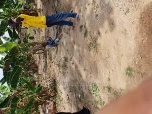 Two Plots of Land at Kumasi Ahenema Kokoben