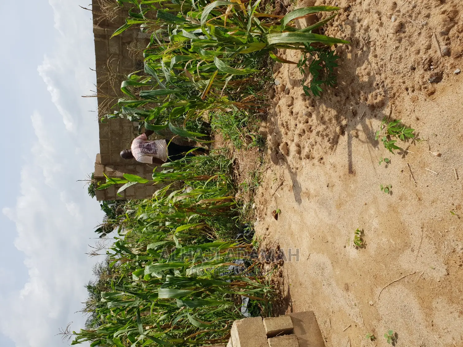 Two Plots of Land at Kumasi Ahenema Kokoben