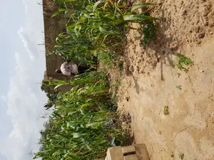 Two Plots of Land at Kumasi Ahenema Kokoben