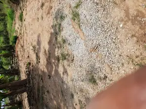 Two Plots of Land at Kumasi Ahenema Kokoben