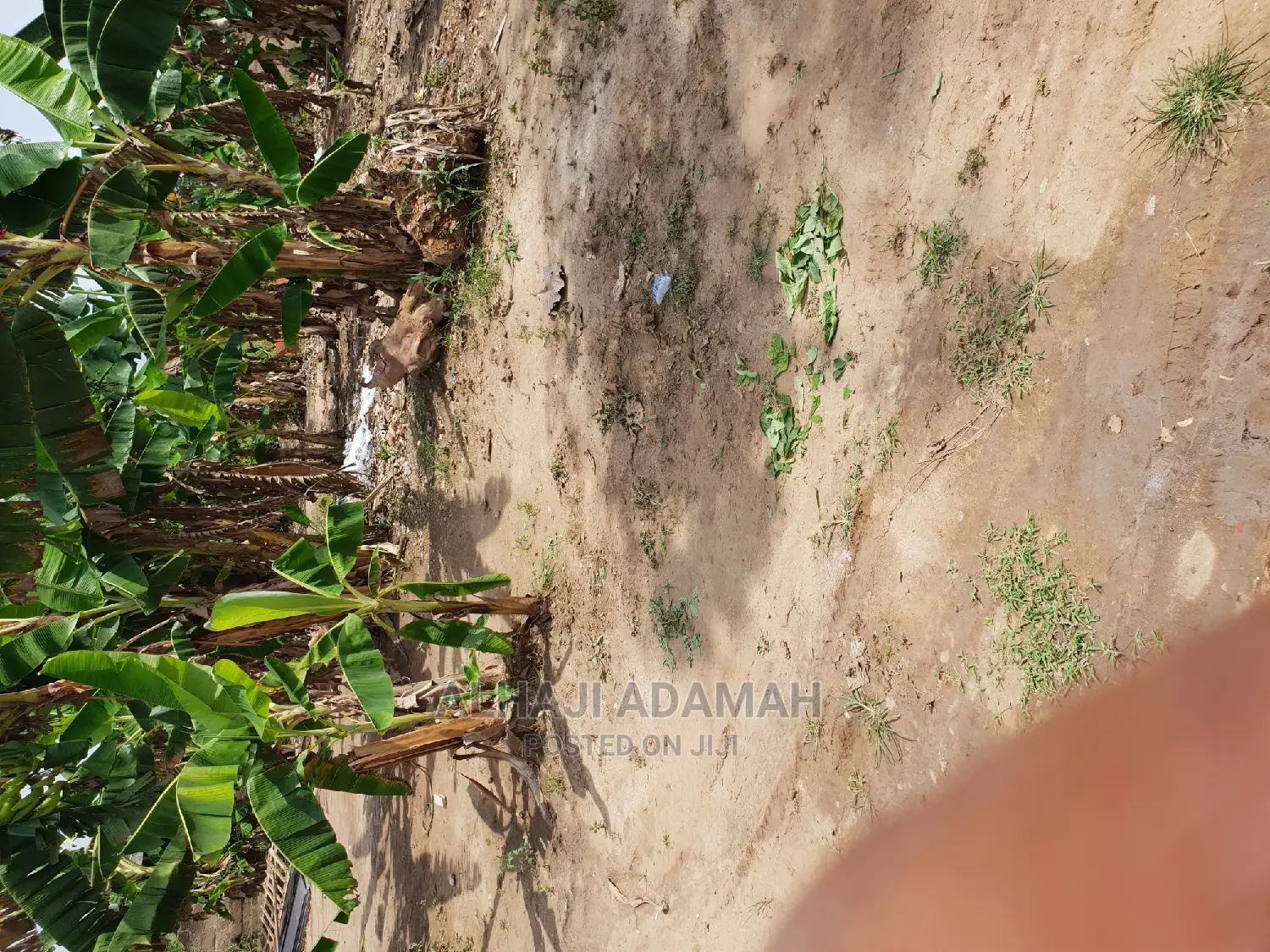 Two Plots of Land at Kumasi Ahenema Kokoben