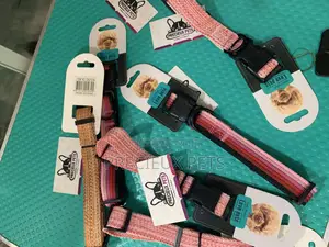 Adult Collar/Belt For Toy Dogs