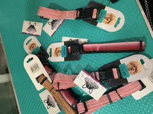 Adult Collar/Belt For Toy Dogs