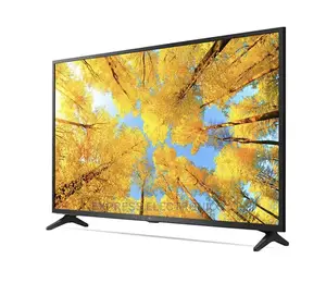 55UQ7500 LG 55” UHD Smart+ Free Wall Mount/Tv Guard