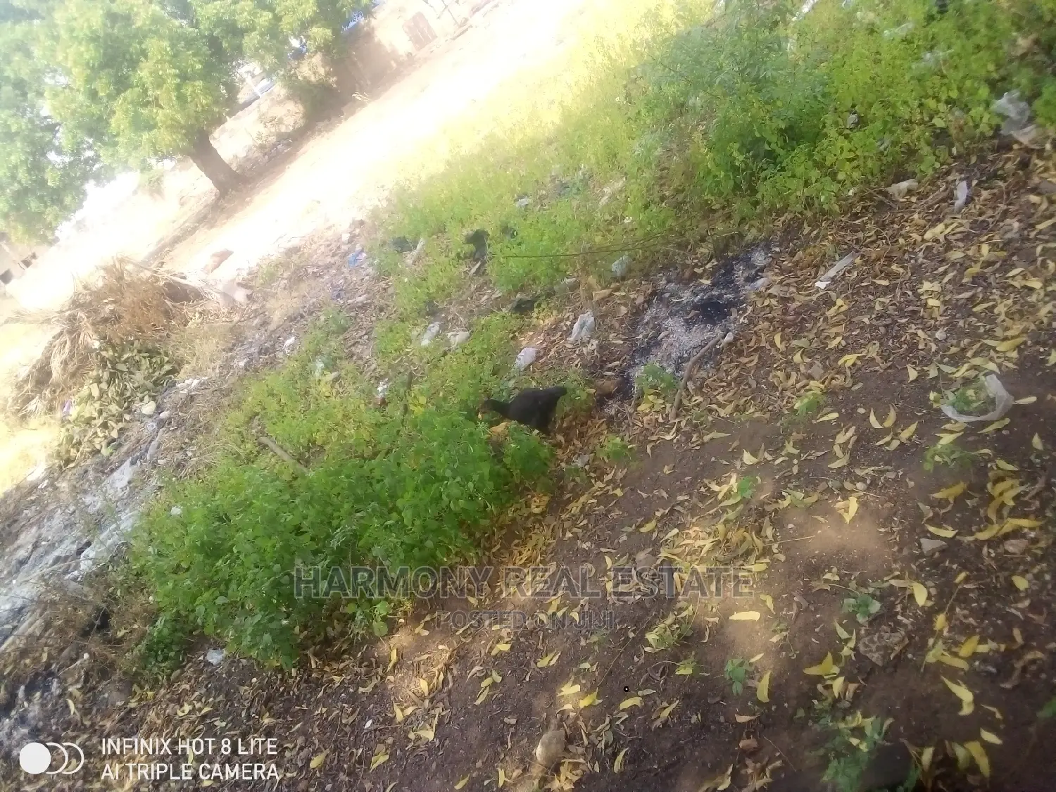Plots for Sale -Airport