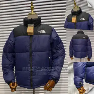Super Quality North Face Gucci Winter Jacket Available