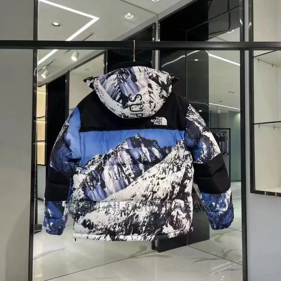 Super Quality North Face Gucci Winter Jacket Available