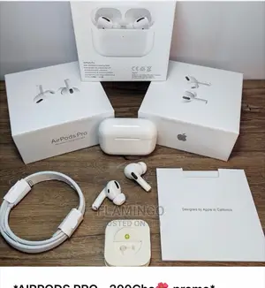 Airpods Pro ( 16.0)