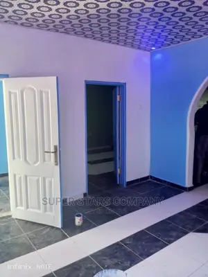 Proffessional Painting
