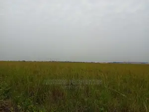 50 Acres of Land for Sale Central University Before B5