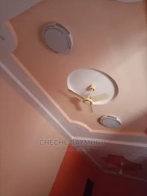 Best Pop Ceiling