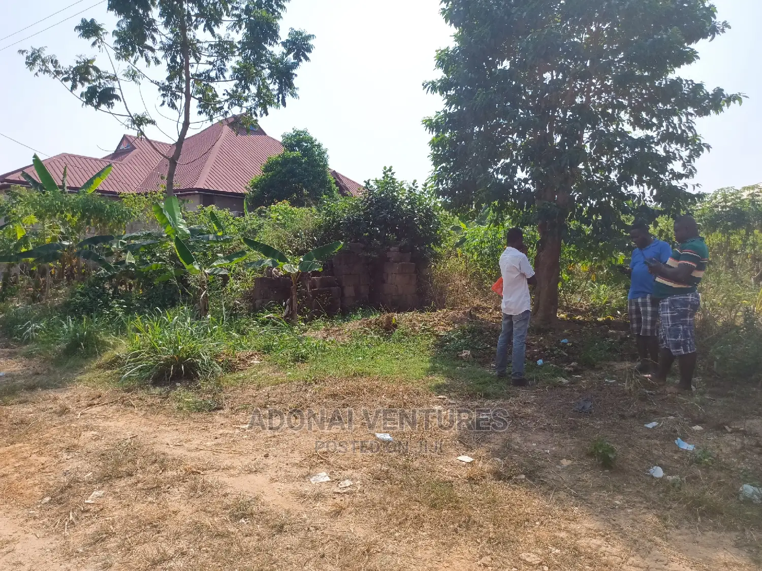 Plot of Land for Sale in Trede
