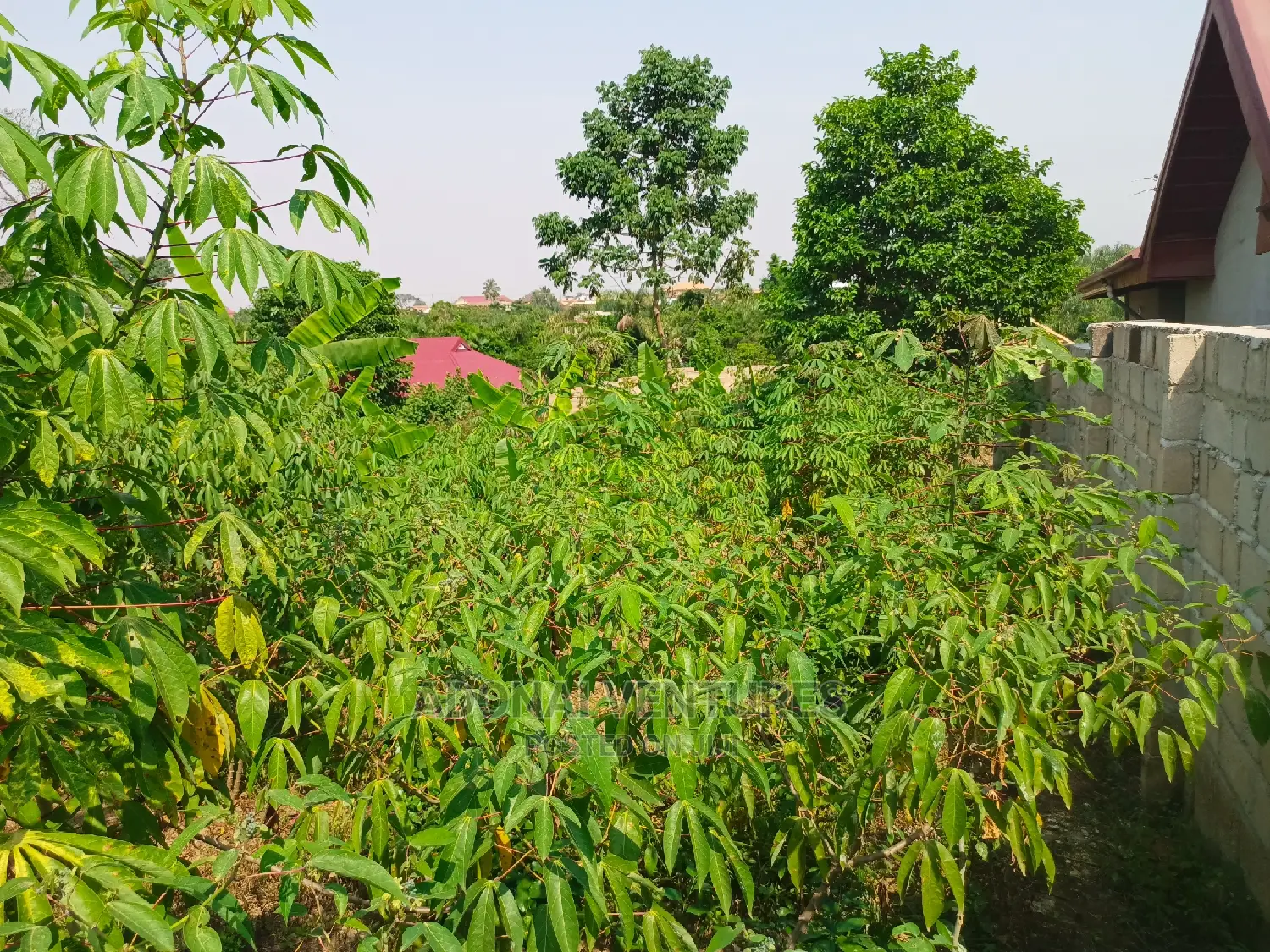 Plot of Land for Sale in Trede