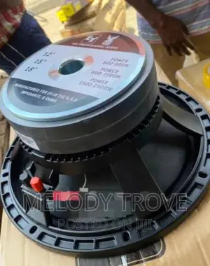 Ev Double Magnet 12inch 600watt Naked Speaker