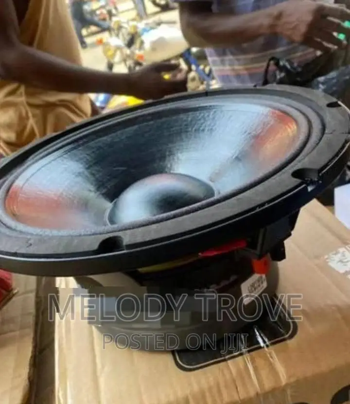 Ev Double Magnet 12inch 600watt Naked Speaker