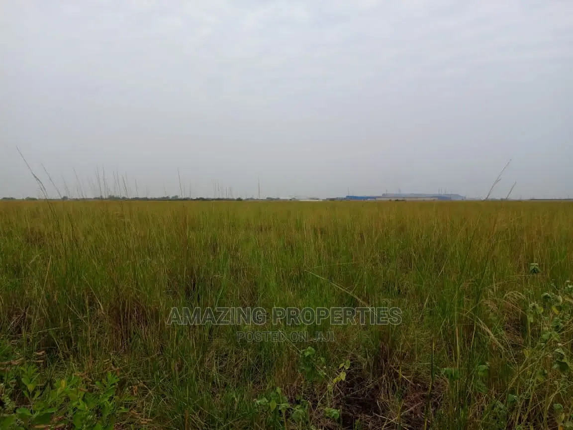 3000 Acres of Farm Land at Juapong