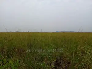 3000 Acres of Farm Land at Juapong