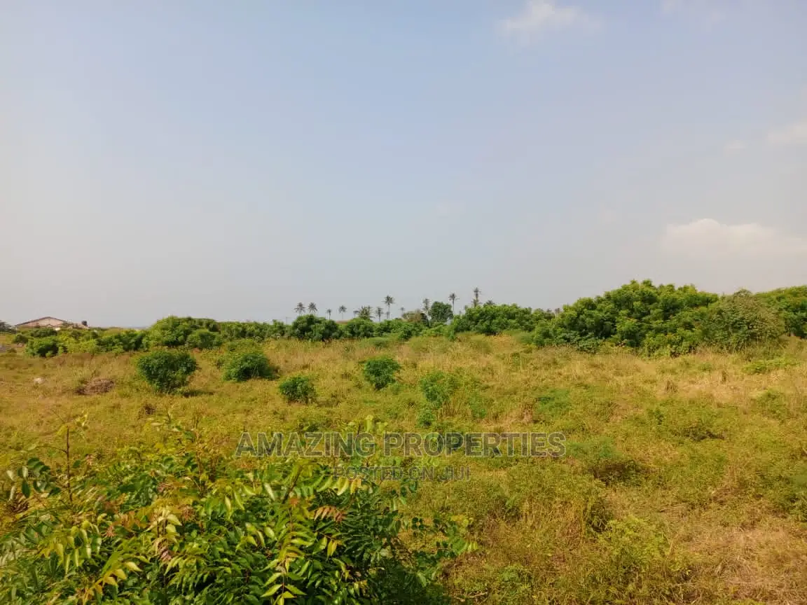 3000 Acres of Farm Land at Juapong