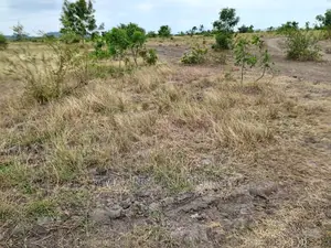 10 Acres of Land at Dawenya