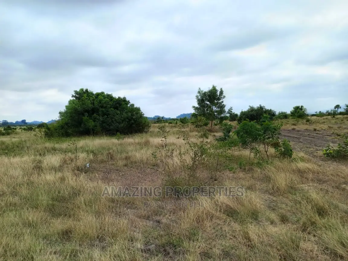 1.59 Acres of Land at Ayi Mensah
