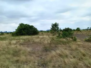 1.59 Acres of Land at Ayi Mensah