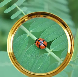 Portable Handheld Magnifying Glass