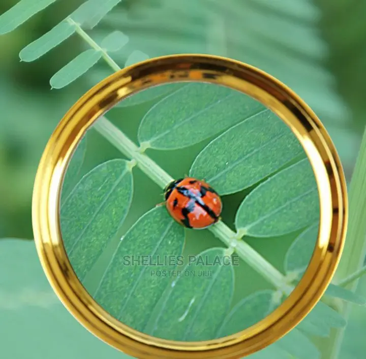 Portable Handheld Magnifying Glass