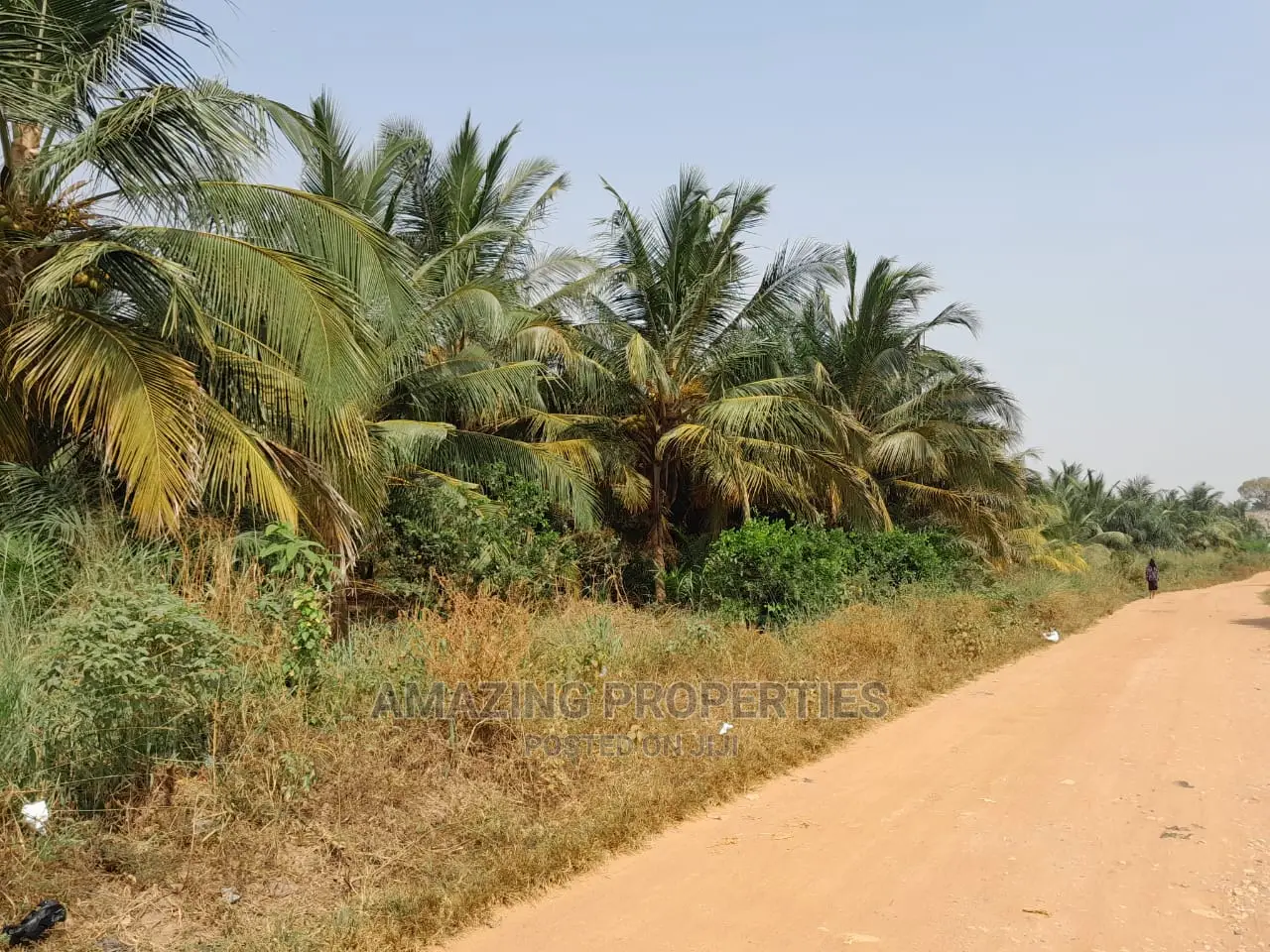10 Plots of Land at Community 25