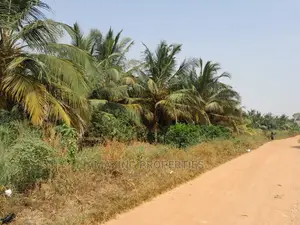 10 Plots of Land at Community 25