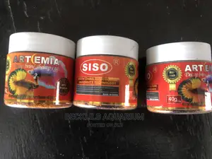 Artemia Fish Feed