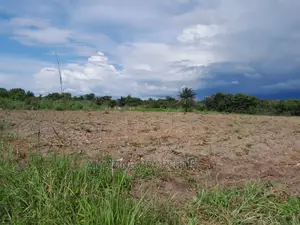 20,000+ Acres Farm /Agricultural Land Adaklu, Volta Region