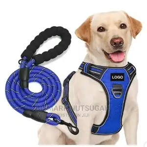 Dog Chain for Sale