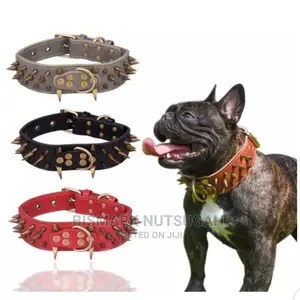 Dogs Chain for Sale