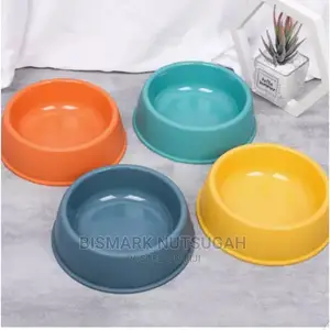 Dog Bowl for Sale