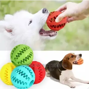 Dog Toy for Sale