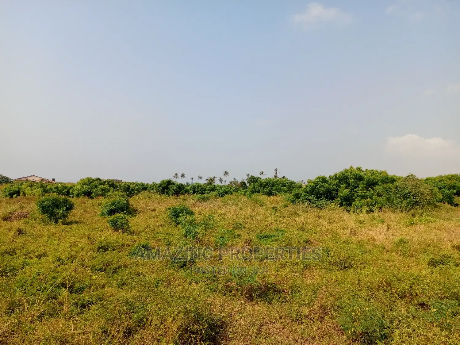 For Sale
100 Acres of Land, Off Tema Aflao Road Behind 5 B
