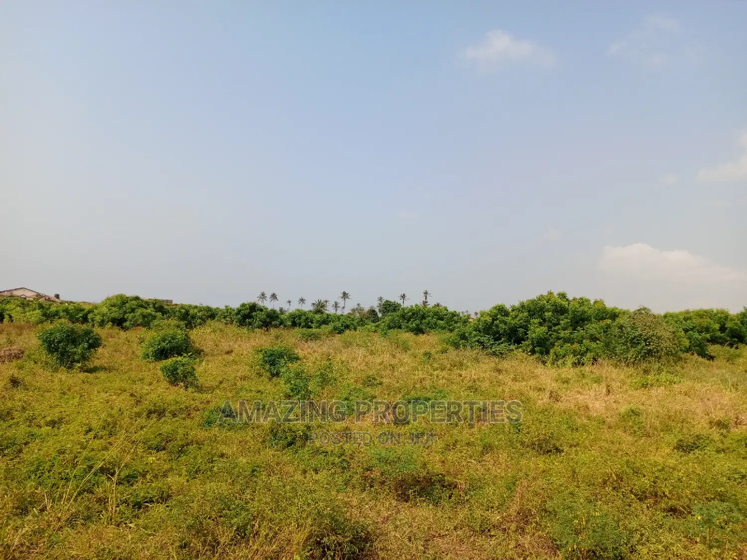 For Sale
100 Acres of Land, Off Tema Aflao Road Behind 5 B