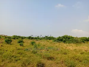 For Sale
100 Acres of Land, Off Tema Aflao Road Behind 5 B