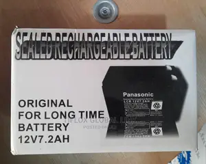 Panasonic UPS Battery
